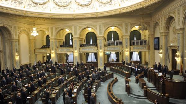 deputat democrat liberal pdl poate lua in considerare functia de presedinte al senatului