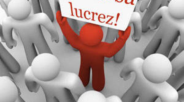 locuri de munca anofm