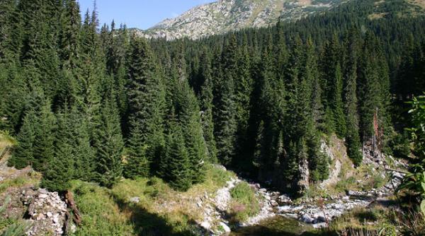 trei turisti rataciti in retezat cautati de salvamontistii hunedoreni