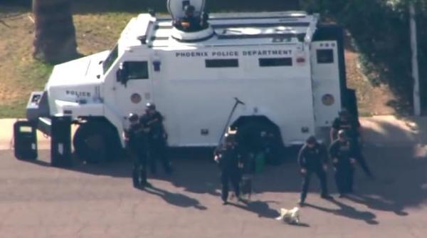 caine rasa pug agresiv