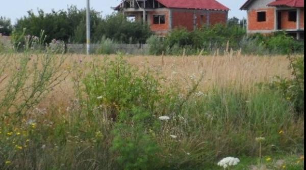 harta preturilor la terenurile de pe langa capitala