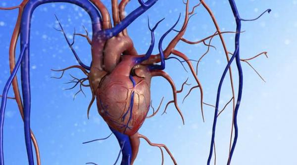 inima artificiala merge mai departe