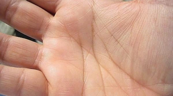 cum sa citesti in palma primii pasi ca sa ti ghicesti viitorul