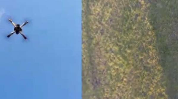 smartphone urile vulnerabile in fata unui atac informatic declansat de un dispozitiv instalat pe o drona