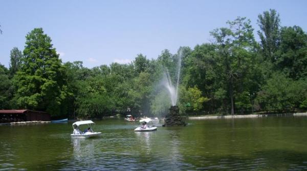 cgmb va lua in discutie joi doua proiecte vizand patrimoniul natural al parcurilor cismigiu si carol
