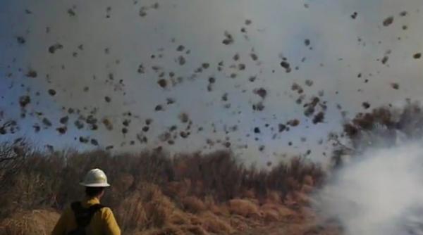 diavol de praf incendiu