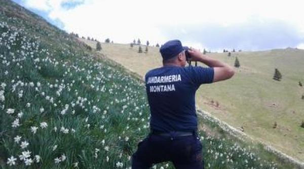 un timisorean a sunat la 112 spunand ca s a ratacit in masivul retezat barbatul nu patise nimic fiind doar beat