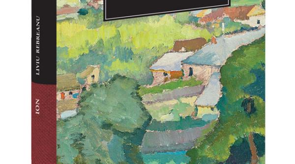 ion cel de al 163 lea volum din colectia biblioteca pentru toti