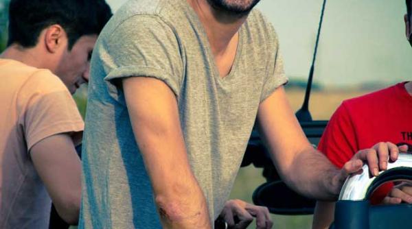 elefantii bizari au lansat zoologic