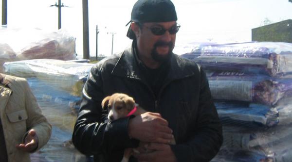 steven seagal a mai adoptat doi catei din adapostul dogtown
