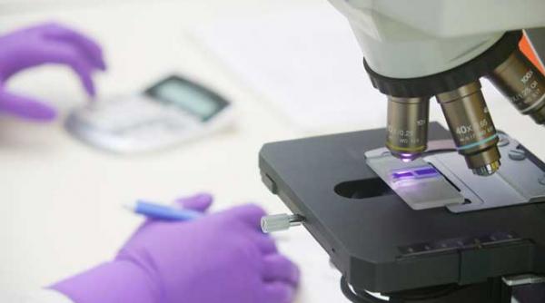 celulele stem inving cancerul si infarctul