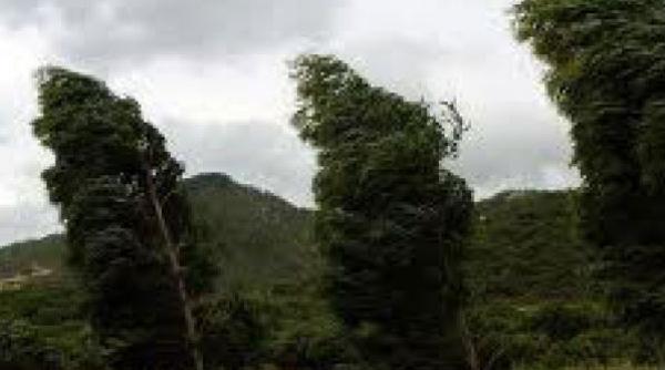 ano a emis avertizare cod galben de vant in botosani si suceava