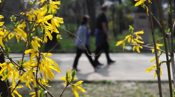 cum va fi vremea de pasti si de florii vezi prognoza meteo
