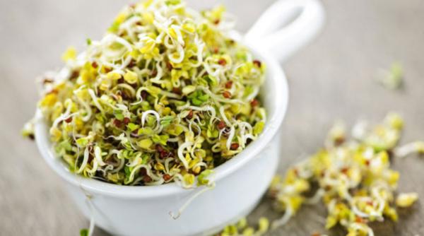 dieta cu germeni ajuta ficatul i previne cancerul