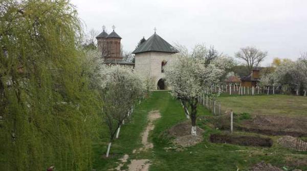 salvati manastirea snagov podul de la manastirea snagov construit ilegal