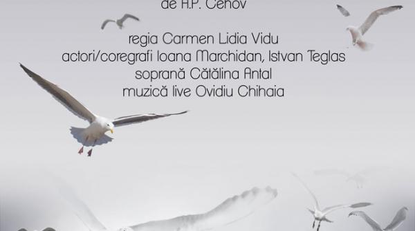 hai la un altfel de teatru joi 17 aprilie se joaca in premiera piesa pescarusul ultimul act