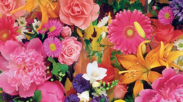 zodiacul floral de florii