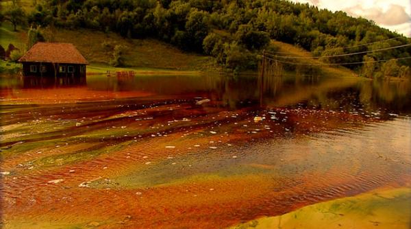 antena 3 doua nominalizari la festivalul de televiziune de la monte carlo