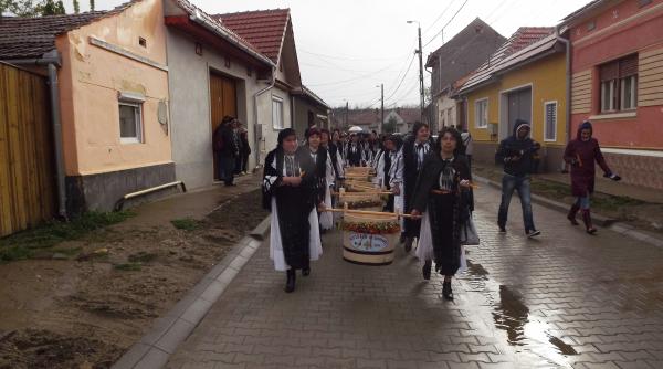 pastenii datina care ii aduce pe vinereni pe campul painii din toate colturile lumii