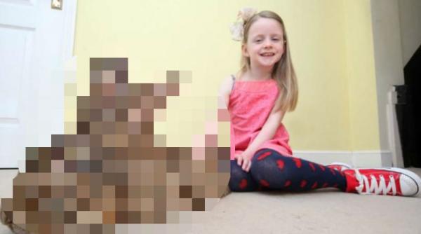 cel mai mare iepure din lume peste 22 de kg si mananca 4 000 de morcovi intr un an vezi cum arata gigantul animal video