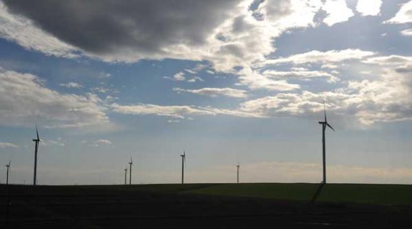 companiile care nu vor mai plati certificate verzi nu vor putea face concedieri