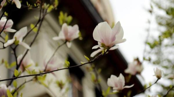 cum va fi vremea de 1 mai in bucuresti la mare si la munte prognoza meteo pe doua saptamani