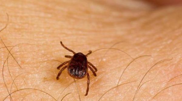 21 de persoane muscate de capuse in ultima luna in galati