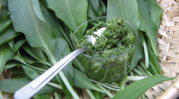 slabe te u or cu usturoiul ursului