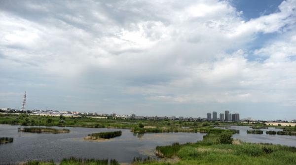 delta vacaresti in atentia cgmb