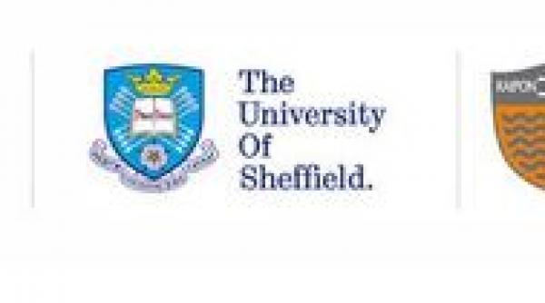 daily income i universitatea sheffield au ales ca tigatorul bursei executive mba