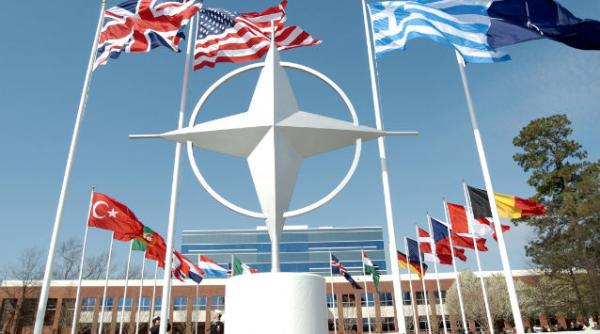 romania si alti 14 lideri emergenti nato elaboreaza strategia pentru intarirea legaturii transatlantice