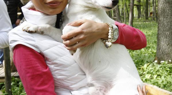 de 1 mai catelul andrei trandas a disparut cu tot cu masina