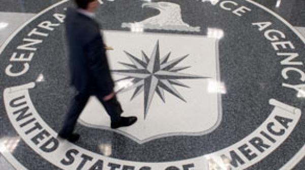 bild am sonntag cia si fbi ofera consultanta guvernului de la kiev