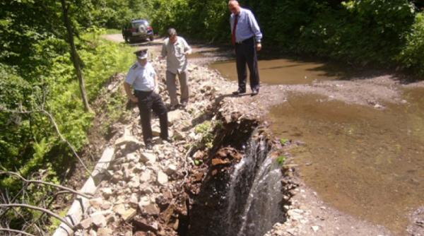 o alunecare de teren produsa in valcea a dislocat o padure pe o raza de 500 de metri patrati