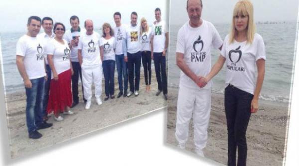 guvernul sesizeaza ccr privind implicarea presedintelui in campania electorala