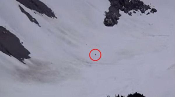 noua inregistrare care atesta existenta lui bigfoot tu ce crezi video