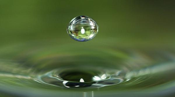 cum arata o picatura de apa de mare la microscop foto