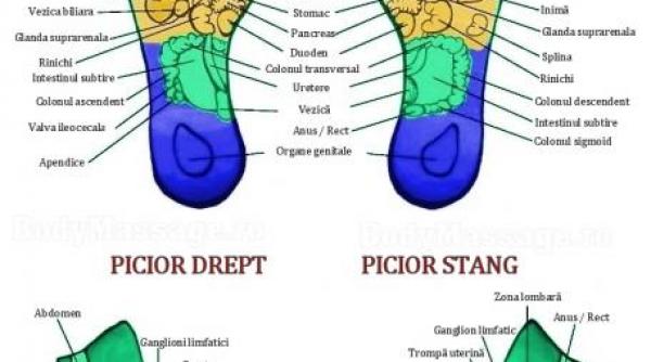 am venit sa mi ghiciti in talpa