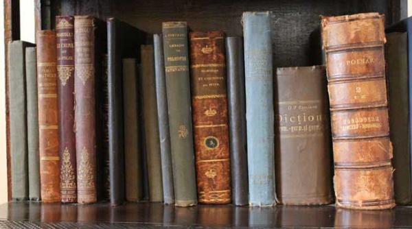 necunoscutul mihai codreanu 4