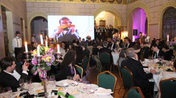 un concert al artistului nicolae voiculet cumparat la licitatie