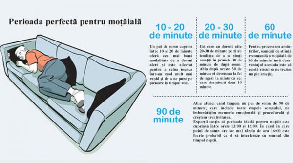 secretele unei motaieli perfecte de cat timp avem nevoie pentru a fi mai destepti si mai aleti