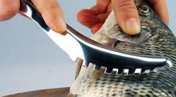 cum poti sa cureti pestele de solzi cu un ciocan si doua cuie video