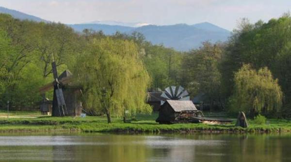 muzeul astra promovat gratuit de google