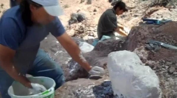 are o vechime de 90 de milioane de ani si cantareste 100 de tone descoperire incredibila facuta in argentina