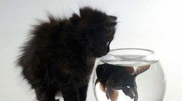 superstitii de ce nu e bine sa fluieri noaptea si ce inseamna daca te uiti la ceas la fara un minut