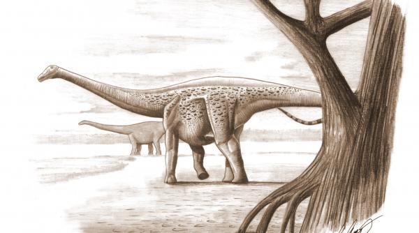 dupa 70 de milioane de ani dinozaurii pitici se intorc pe fosta insula din tara hategului