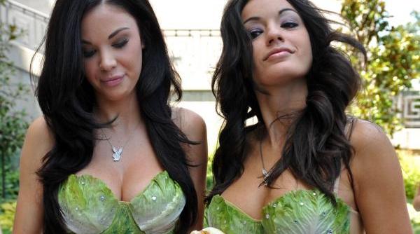 ce mancam si ce bem in zilele caniculare