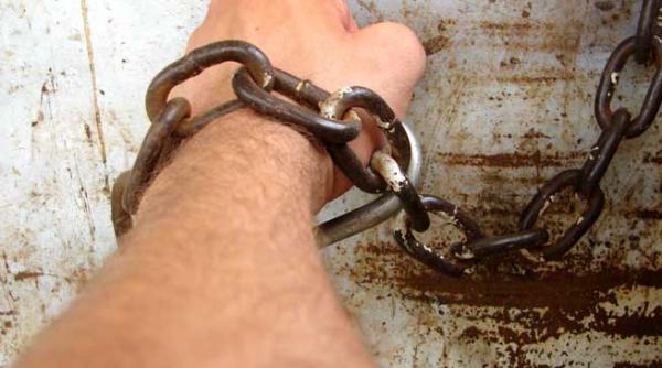 o judecatoare a curtii de apel bucuresti trimite un infractor acasa iar pe altul la cursuri de perfectionare in anglia