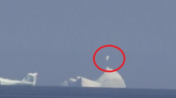 ozn sau iluzie optica inregistrare video care ridica semne de intrebare