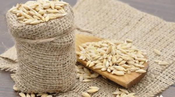 slabeste si intareste ti sanatatea cu orz afla cat de benefic e orzul in alimentatie